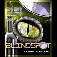 BLINDSPOT BY BOB SWADLING